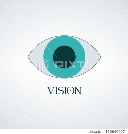 Open Eye vision icon. eyeball eyesight symbol. Stock vector illustration isolated on white background. 116640997