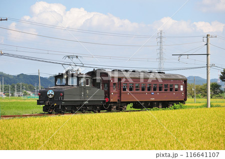 上信電鉄　上州新屋ー上州福島　デキ3＋JR東日本　スハフ42-2173（高崎） 116641107