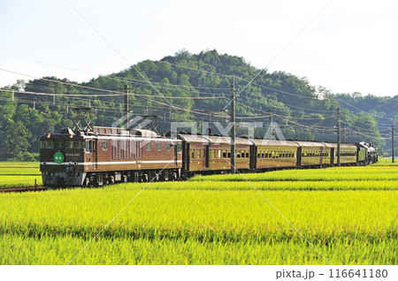 信越本線　磯部ー安中　JR東日本　EF64-1001＋旧客4B＋C61-20　ELレトロ碓氷 116641180