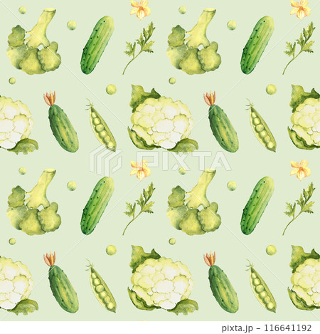 Green Vegetables Watercolor Seamless Pattern with Peas, Broccoli, Cauliflower and Cucumbers, Parsley plant on a light green background. Can be used for kitchen textile prints, product packaging design Green Vegetables Watercolor Seamless Pattern with Peas, Broccoli, Cauliflower and Cucumbers, Parsley plant on a light green background. Can be used for kitchen textile prints, product packaging design 116641192