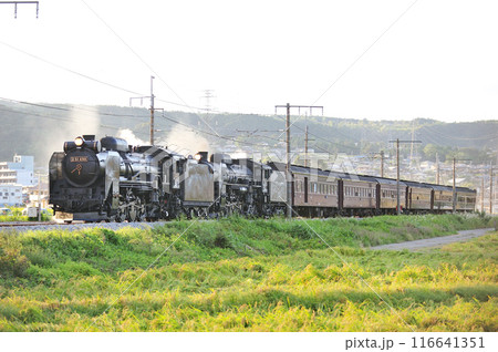 上越線 渋川ー八木原 JR東日本 D51-498+C61-20+旧客6B SL重連レトロみなかみ 上越線 渋川ー八木原 JR東日本 D51-498+C61-20+旧客6B SL重連レトロみなかみ 116641351
