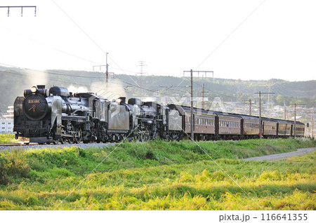 上越線 渋川ー八木原 JR東日本 D51-498+C61-20+旧客6B SL重連レトロみなかみ 上越線 渋川ー八木原 JR東日本 D51-498+C61-20+旧客6B SL重連レトロみなかみ 116641355
