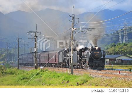上越線 後閑ー沼田 JR東日本 D51-498+C61-20+旧客6B SL重連レトロみなかみ 上越線 後閑ー沼田 JR東日本 D51-498+C61-20+旧客6B SL重連レトロみなかみ 116641356