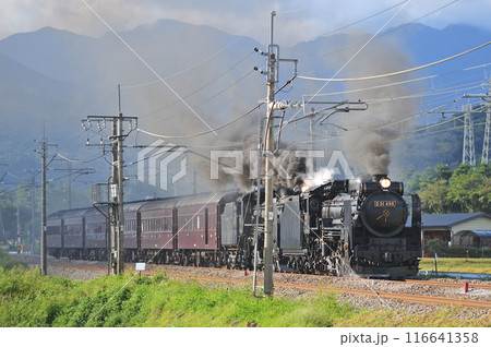 上越線　後閑ー沼田　JR東日本　D51-498＋C61-20＋旧客6B　SL重連レトロみなかみ 116641358