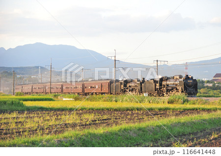 上越線　渋川ー八木原　JR東日本　D51-498＋C58-363＋旧客6B　SL重連レトロみなかみ 116641448