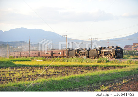 上越線 渋川ー八木原 JR東日本 D51-498+C58-363+旧客6B SL重連レトロみなかみ 上越線 渋川ー八木原 JR東日本 D51-498+C58-363+旧客6B SL重連レトロみなかみ 116641452