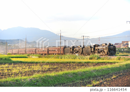 上越線 渋川ー八木原 JR東日本 D51-498+C58-363+旧客6B SL重連レトロみなかみ 上越線 渋川ー八木原 JR東日本 D51-498+C58-363+旧客6B SL重連レトロみなかみ 116641454