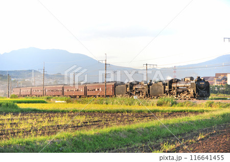 上越線　渋川ー八木原　JR東日本　D51-498＋C58-363＋旧客6B　SL重連レトロみなかみ 116641455