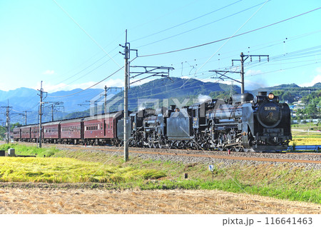 上越線 後閑ー沼田 JR東日本 D51-498+C58-363+旧客6B SL重連レトロみなかみ 上越線 後閑ー沼田 JR東日本 D51-498+C58-363+旧客6B SL重連レトロみなかみ 116641463