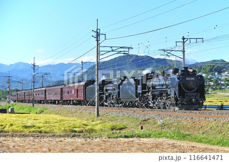 上越線　後閑ー沼田　JR東日本　D51-498＋C58-363＋旧客6B　SL重連レトロみなかみ 116641471