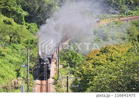 上越線 上牧ー水上 JR東日本 D51-498+C58-363+旧客6B SL重連レトロみなかみ 上越線 上牧ー水上 JR東日本 D51-498+C58-363+旧客6B SL重連レトロみなかみ 116641475