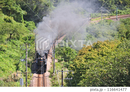 上越線 上牧ー水上 JR東日本 D51-498+C58-363+旧客6B SL重連レトロみなかみ 上越線 上牧ー水上 JR東日本 D51-498+C58-363+旧客6B SL重連レトロみなかみ 116641477