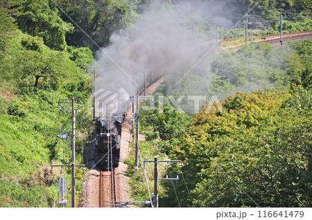 上越線 上牧ー水上 JR東日本 D51-498+C58-363+旧客6B SL重連レトロみなかみ 上越線 上牧ー水上 JR東日本 D51-498+C58-363+旧客6B SL重連レトロみなかみ 116641479
