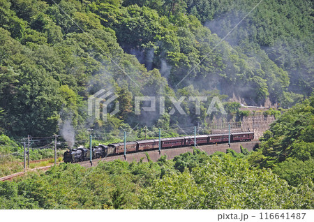 上越線 上牧ー水上 JR東日本 D51-498+C58-363+旧客6B SL重連レトロみなかみ 上越線 上牧ー水上 JR東日本 D51-498+C58-363+旧客6B SL重連レトロみなかみ 116641487