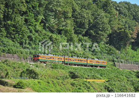 上越線　津久田ー岩本　JR東日本　115系（高崎） 116641682