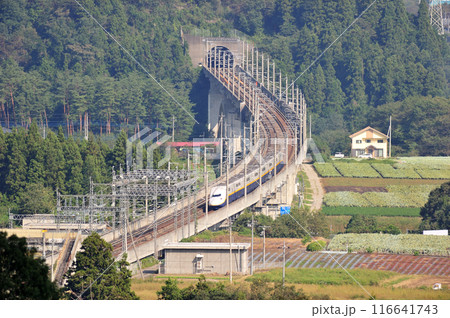 上越新幹線 上毛高原ー高崎 JR東日本 E4系(新潟) Maxとき Maxたにがわ 上越新幹線 上毛高原ー高崎 JR東日本 E4系(新潟) Maxとき Maxたにがわ 116641743