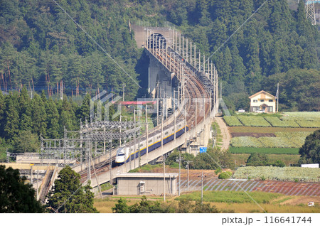 上越新幹線 上毛高原ー高崎 JR東日本 E4系(新潟) Maxとき Maxたにがわ 上越新幹線 上毛高原ー高崎 JR東日本 E4系(新潟) Maxとき Maxたにがわ 116641744