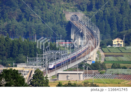 上越新幹線 上毛高原ー高崎 JR東日本 E1系(新潟) Maxとき Maxたにがわ 上越新幹線 上毛高原ー高崎 JR東日本 E1系(新潟) Maxとき Maxたにがわ 116641745