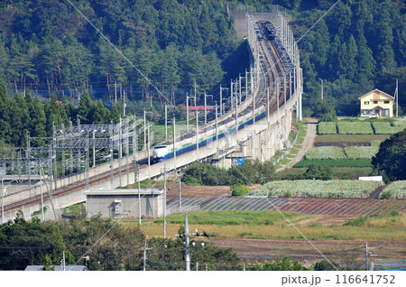 上越新幹線　上毛高原ー高崎　JR東日本　200系（新潟）　とき　たにがわ 116641752