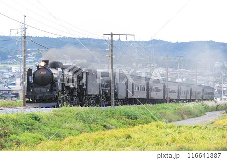上越線 渋川ー八木原 JR東日本 C61-20+C58-363+旧客6B SL重連レトロみなかみ 上越線 渋川ー八木原 JR東日本 C61-20+C58-363+旧客6B SL重連レトロみなかみ 116641887