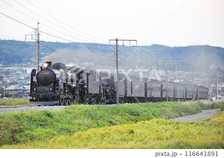 上越線 渋川ー八木原 JR東日本 C61-20+C58-363+旧客6B SL重連レトロみなかみ 上越線 渋川ー八木原 JR東日本 C61-20+C58-363+旧客6B SL重連レトロみなかみ 116641891