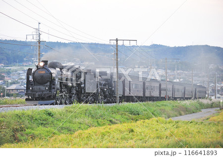 上越線　渋川ー八木原　JR東日本　C61-20＋C58-363＋旧客6B　SL重連レトロみなかみ 116641893