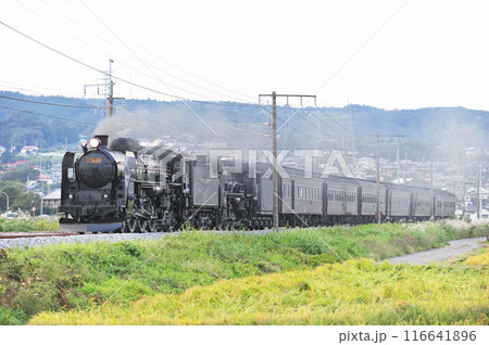 上越線 渋川ー八木原 JR東日本 C61-20+C58-363+旧客6B SL重連レトロみなかみ 上越線 渋川ー八木原 JR東日本 C61-20+C58-363+旧客6B SL重連レトロみなかみ 116641896