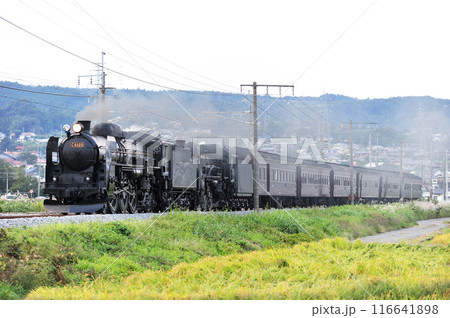 上越線 渋川ー八木原 JR東日本 C61-20+C58-363+旧客6B SL重連レトロみなかみ 上越線 渋川ー八木原 JR東日本 C61-20+C58-363+旧客6B SL重連レトロみなかみ 116641898