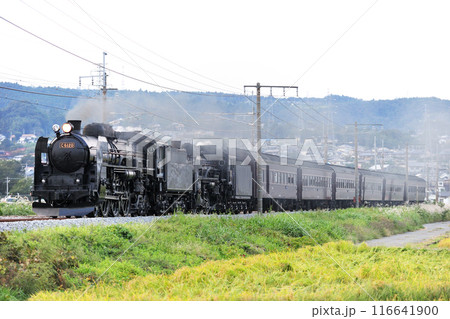 上越線 渋川ー八木原 JR東日本 C61-20+C58-363+旧客6B SL重連レトロみなかみ 上越線 渋川ー八木原 JR東日本 C61-20+C58-363+旧客6B SL重連レトロみなかみ 116641900