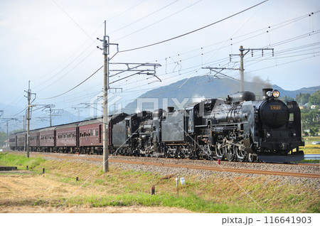 上越線 後閑ー沼田 JR東日本 C61-20+C58-363+旧客6B SL重連レトロみなかみ 上越線 後閑ー沼田 JR東日本 C61-20+C58-363+旧客6B SL重連レトロみなかみ 116641903