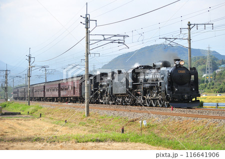 上越線 後閑ー沼田 JR東日本 C61-20+C58-363+旧客6B SL重連レトロみなかみ 上越線 後閑ー沼田 JR東日本 C61-20+C58-363+旧客6B SL重連レトロみなかみ 116641906