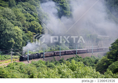 上越線　上牧ー水上　JR東日本　C61-20＋C58-363＋旧客6B　SL重連レトロみなかみ 116641916