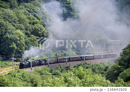 上越線 上牧ー水上 JR東日本 C61-20+C58-363+旧客6B SL重連レトロみなかみ 上越線 上牧ー水上 JR東日本 C61-20+C58-363+旧客6B SL重連レトロみなかみ 116641920