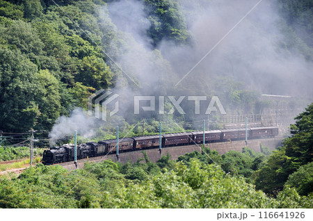 上越線 上牧ー水上 JR東日本 C61-20+C58-363+旧客6B SL重連レトロみなかみ 上越線 上牧ー水上 JR東日本 C61-20+C58-363+旧客6B SL重連レトロみなかみ 116641926
