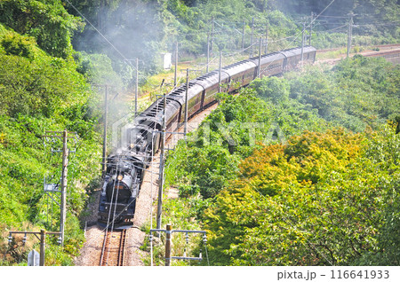 上越線 上牧ー水上 JR東日本 C61-20+C58-363+旧客6B SL重連レトロみなかみ 上越線 上牧ー水上 JR東日本 C61-20+C58-363+旧客6B SL重連レトロみなかみ 116641933