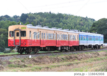 久留里線　東清川ー横田　JR東日本　キハ30-62＋キハ38-1（幕張） 116642008