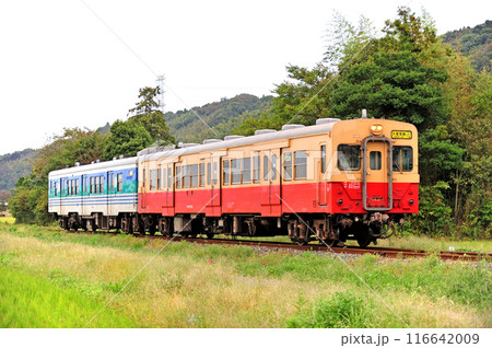 久留里線　下郡ー小櫃　JR東日本　キハ38-1+キハ30-62（幕張） 116642009