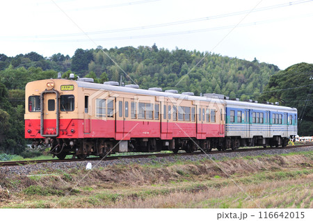 久留里線　東清川ー横田　JR東日本　キハ30-100+キハ38-2（幕張） 116642015