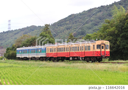 久留里線　下郡ー小櫃　JR東日本　キハ30-100+キハ38-2（幕張） 116642016