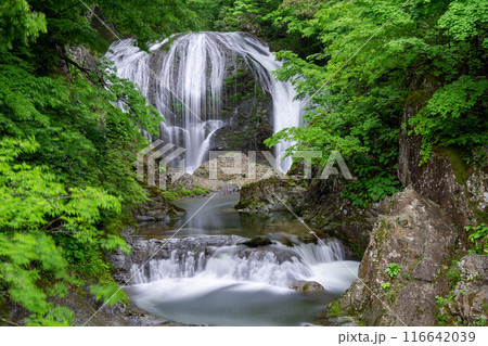 水遊びの出来る関山大滝 水遊びの出来る関山大滝 116642039