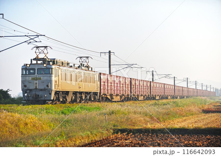 羽越本線 中浦ー月岡 JR貨物 EF81-303(門司) 羽越本線 中浦ー月岡 JR貨物 EF81-303(門司) 116642093