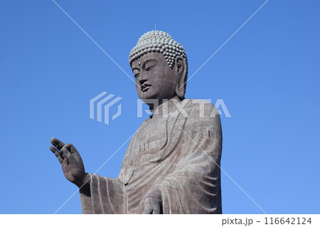 牛久大仏 世界最大のブロンズ立像 116642124