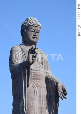 牛久大仏 世界最大のブロンズ立像 116642126