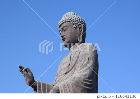 牛久大仏 世界最大のブロンズ立像 116642130