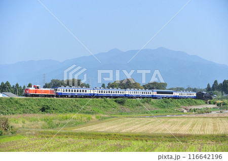 磐越西線　猿和田ー北五泉　JR東日本　DE10-1680＋12系＋C57-180　SL秋風体験号 116642196