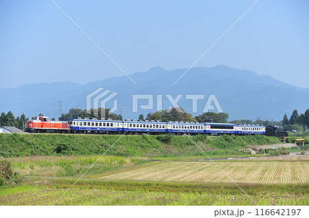 磐越西線　猿和田ー北五泉　JR東日本　DE10-1680＋12系＋C57-180　SL秋風体験号 116642197