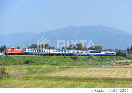 磐越西線　猿和田ー北五泉　JR東日本　DE10-1680＋12系＋C57-180　SL秋風体験号 116642203