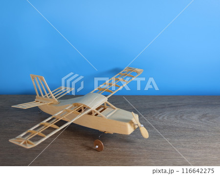 手作りのグライダー 116642275