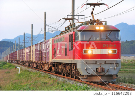 羽越本線　村上ー岩船町　JR貨物　EF510-8（富山） 116642298