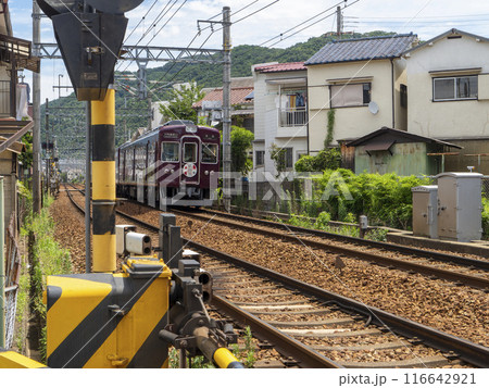 ヘッドマークを付けて住宅地を走る電車 116642921